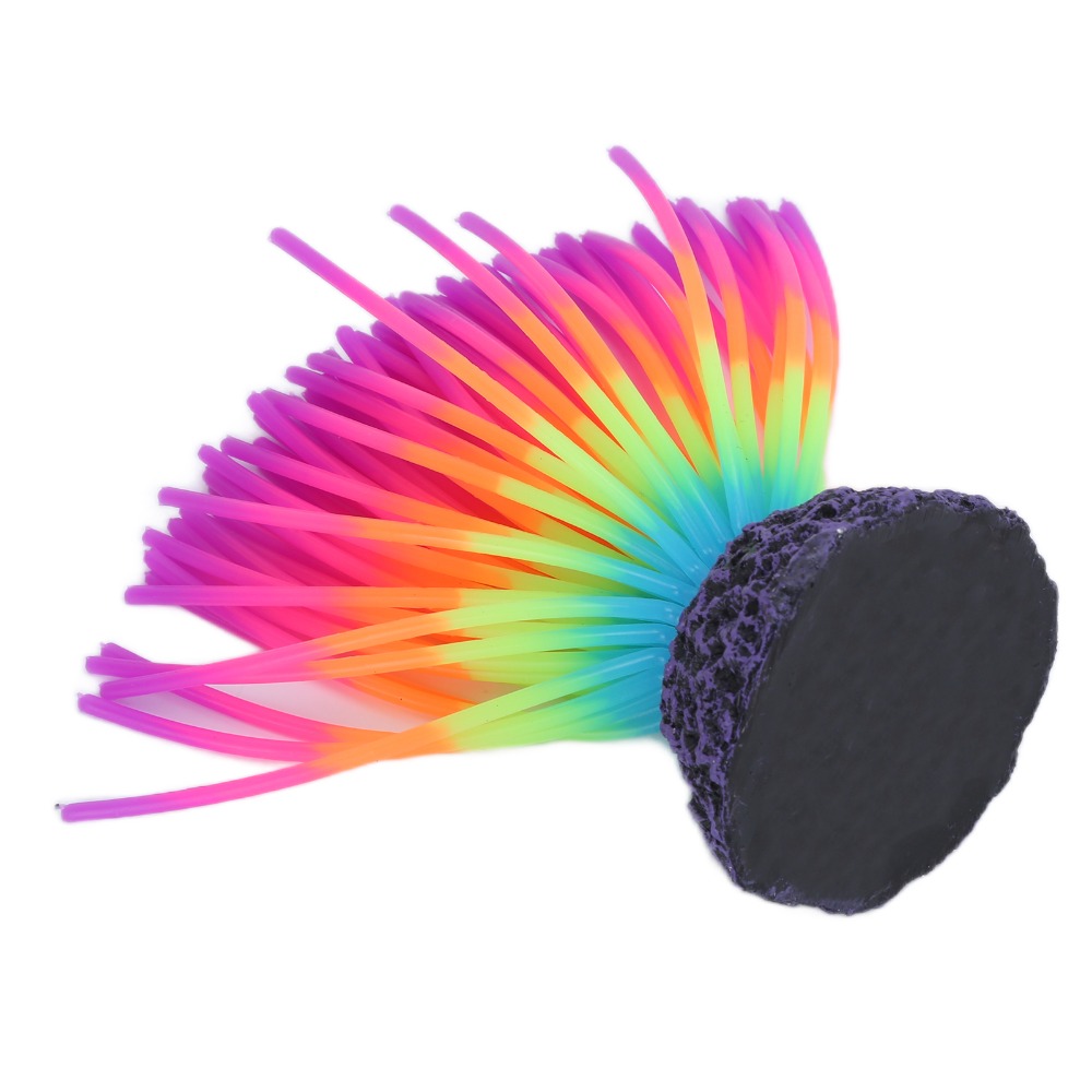 Colorful Aquarium Silicone Cor - Aquarium Fish Rainbow 评论和价格