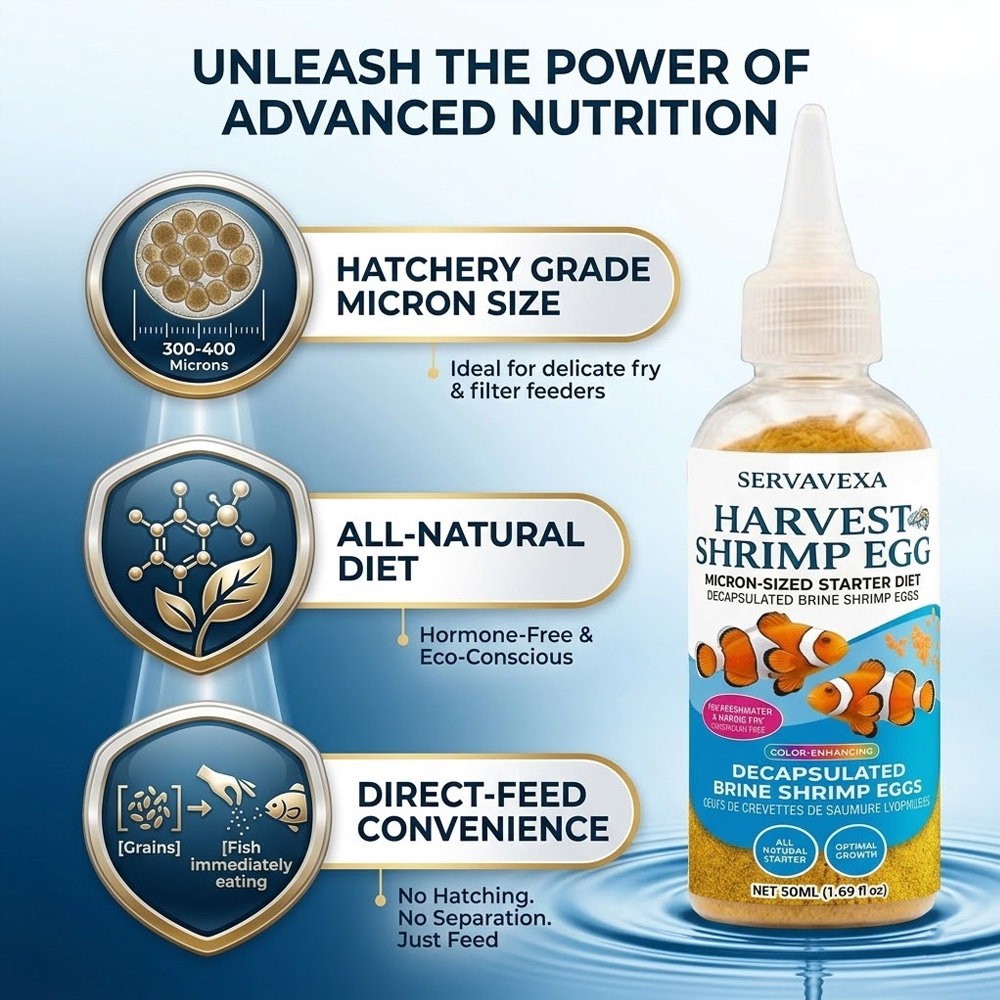 High Protein Fish Food for Bet - Aquarium Fish Price 评论和价格