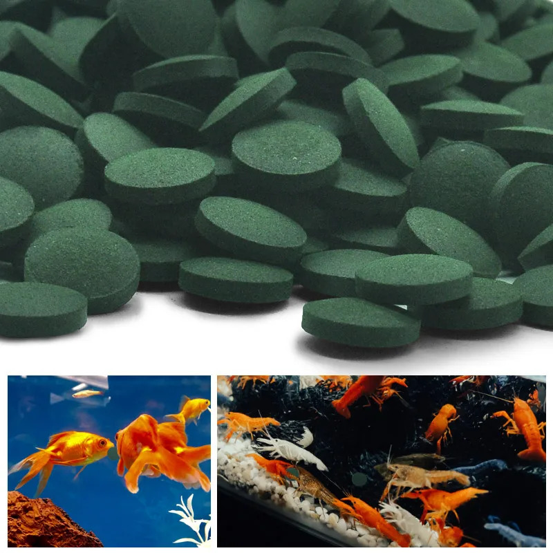 100-1500Pcs High-Purity Spirul - Aquarium Fish Food 评论和价格