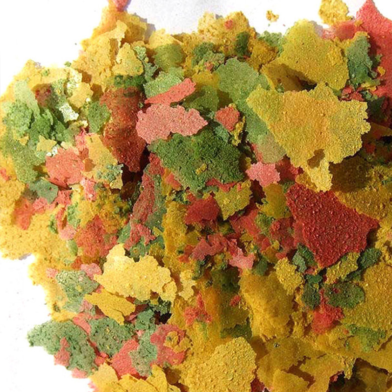 Ornamental Fish Thin Slice Foo - Aquarium Fish Rainbow 评论和价格