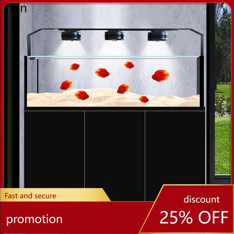 CZ Fish Tank Native Wild Colle - Wild Aquarium Fish 评论和价格