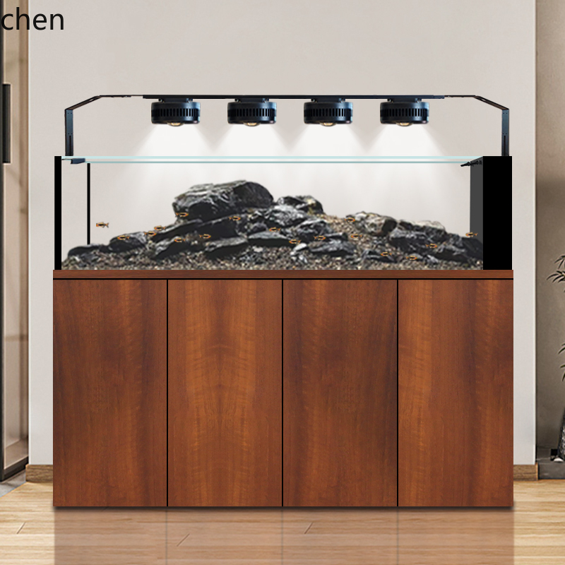CZ Fish Tank Native Wild Colle - Wild Aquarium Fish 评论和价格