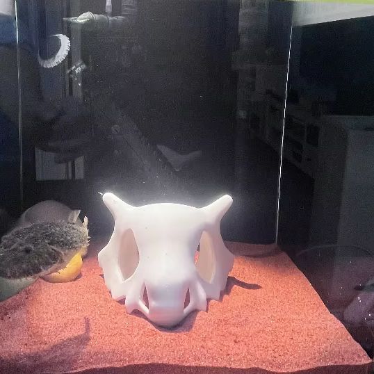 3D Printed FIsh Shrimp Reptile - Aquarium Fish Hide 评论和价格