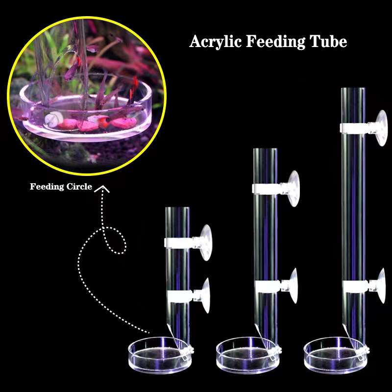 1Pcs Acrylic Aquarium Feeder T - Aquarium Fish Food 评论和价格