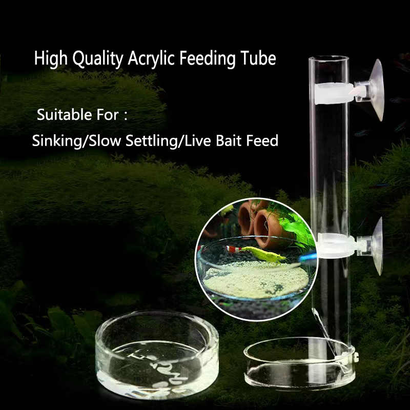 1Pcs Acrylic Aquarium Feeder T - Aquarium Fish Food 评论和价格
