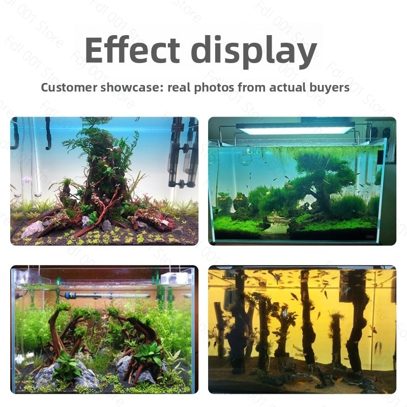 Fish Tank Background Board LED - Aquarium Fish Rainbow 评论和价格
